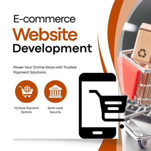 Professional SEO for Small Business